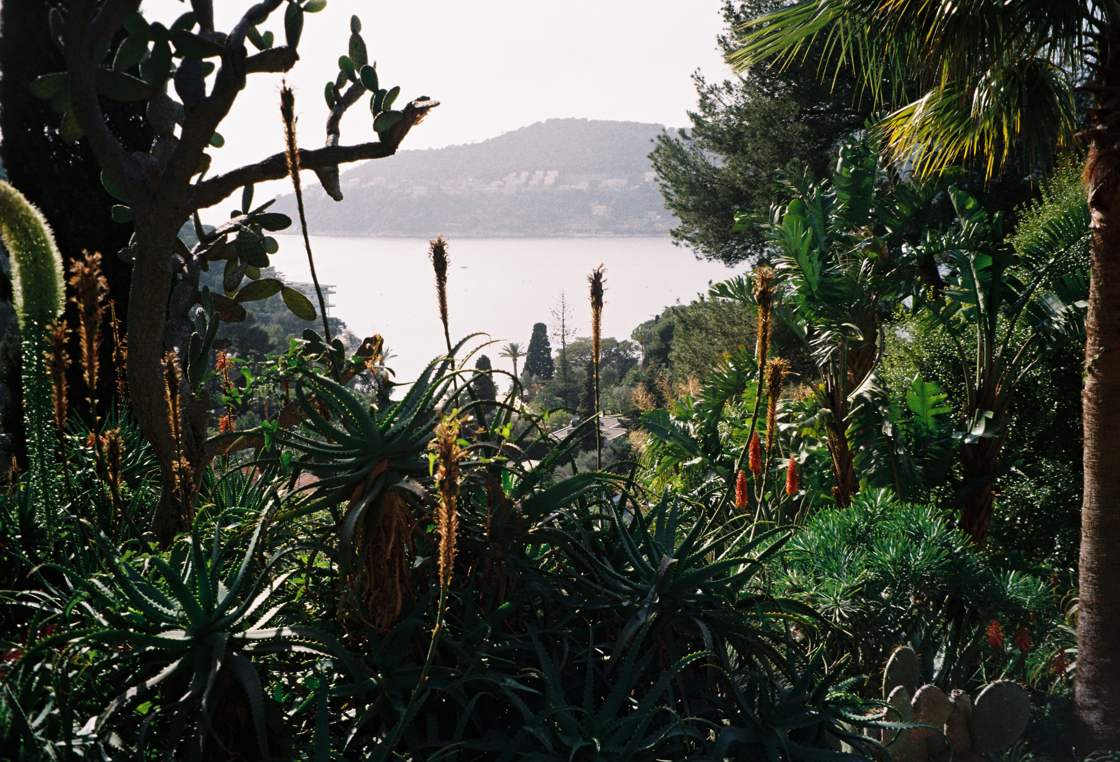 Villa Ephrussi de Rothschild